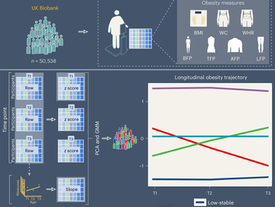 Obesity influences brain morphology and cognitive health