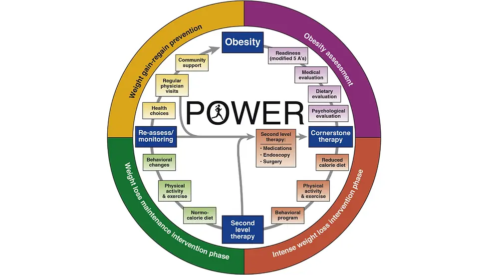 The figure provides a comprehensive, multidisciplinary process to guide and personalize innovative obesity care (Credit: Gastroenterology).