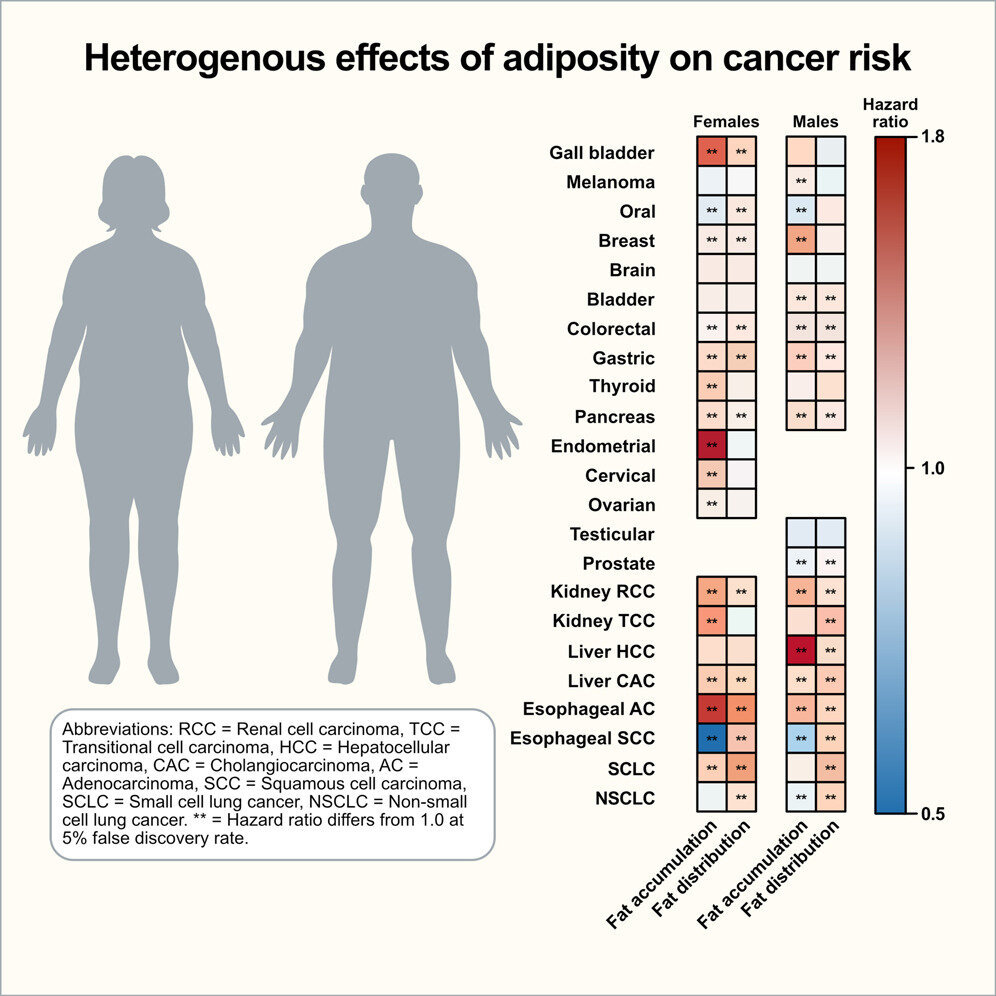 Overweight Cancer Risk Obesity-related cancer risk factor depends on sex and cancer type