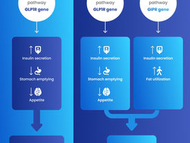 Study identifies genetic predictors for GLP-1 weight loss efficacy and side effects 