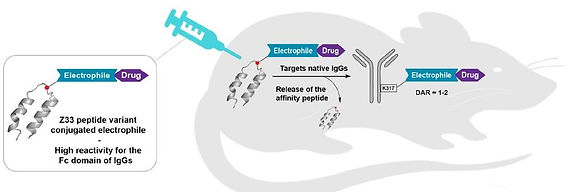 glp 1 setup At-home GLP-1 Injections: A How-to Guide