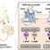 Researchers identify key brain receptor mechanism for appetite and weight control