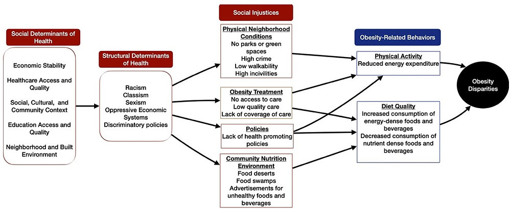 Structural Factors Examples Social and structural factors are key drivers of disparities in obesity ...