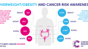 Obesity-associated cancer deaths triple over past two decades in the US