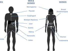Researchers uncover mechanism explaining how obesity increases cancer risk
