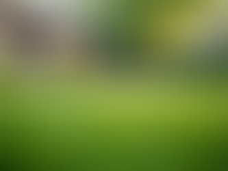 Benefits of Professional Grading for Property Development