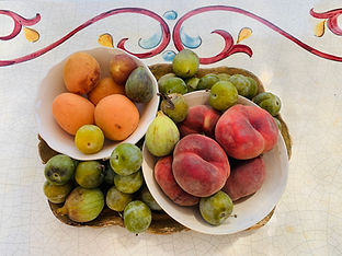 fruit.jpeg
