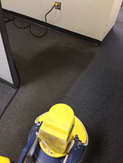 Commercial Carpet 31