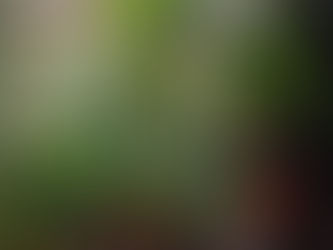 Winter's tough on houseplants, too