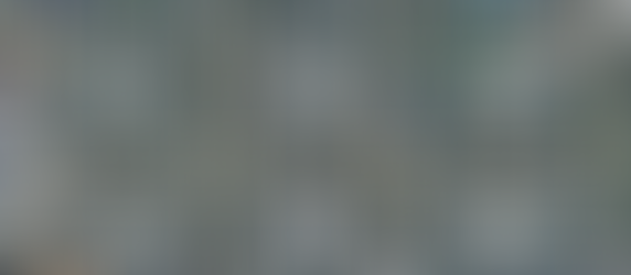 One Year of Little Flower Litter League