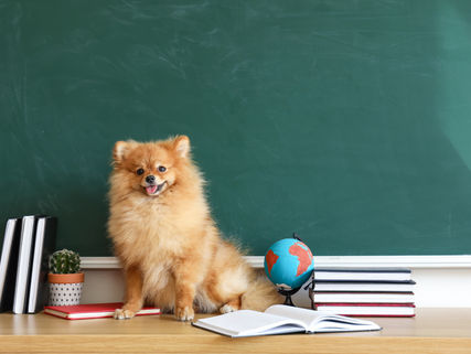 Events, Seminare & Workshops 