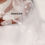 Thumbnail: Christian wedding White Bridal Gloves G-8 India