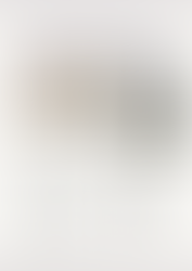 Formation des délégués de classe au lycée Georges Brière à Reims