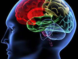 Sane Mind