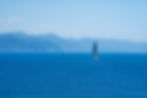 A7306359-Modifier.jpg