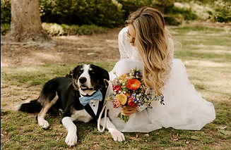 Screen Shot 2024-04-08 at 1.53.57 PM.png