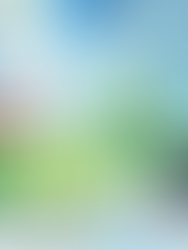 【出演情報】JLCボートレース平和島「G2モーターボート大賞」