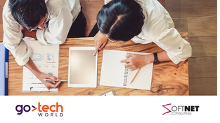 Soft Net Consulting: driving business digitalization