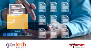 Tryamm - Empowering Your Office Solutions for 30 Years!