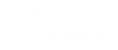 EY P_site.png