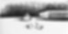 pencil and shavings.jpg