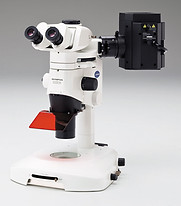 macroscope.jpg