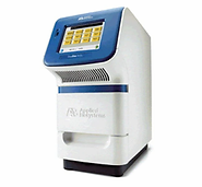 RT PCR.webp