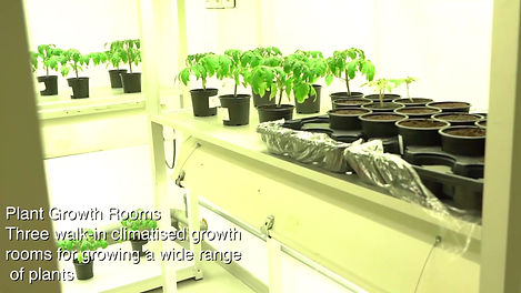 growth rooms.jpg