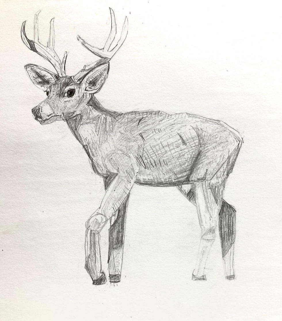 Deer image commission 2023