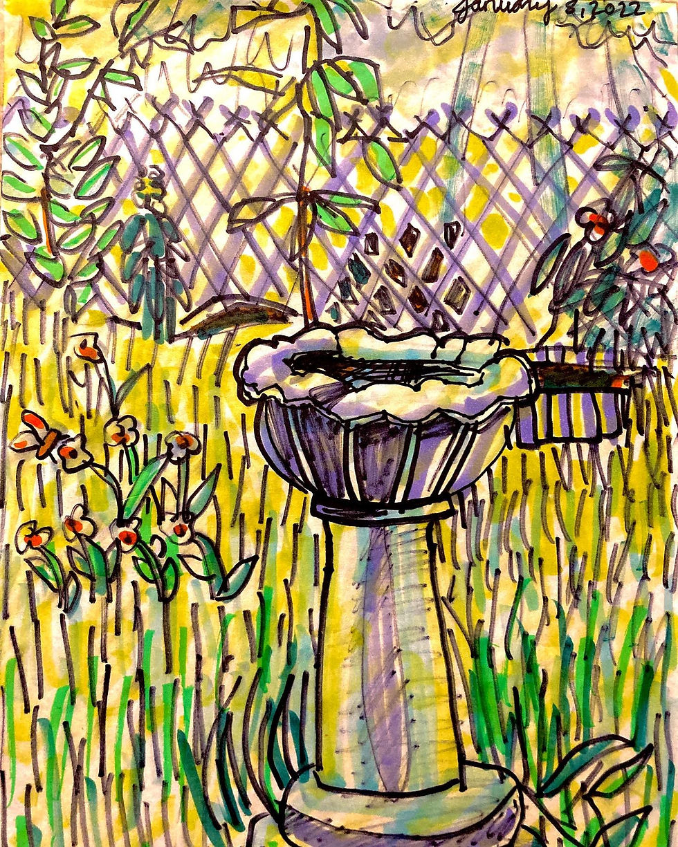 "Beyond the Birdbath" 2022