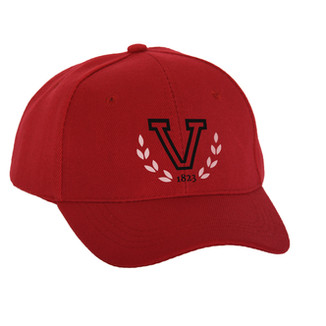 Baseball Cap Logo