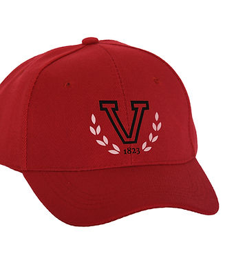 Baseball Cap Logo