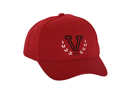Baseball Cap Logo