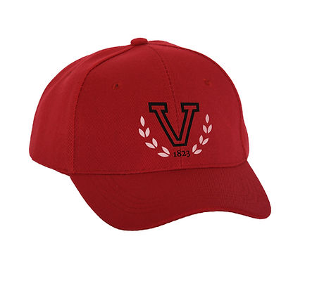 Baseball Cap Logo