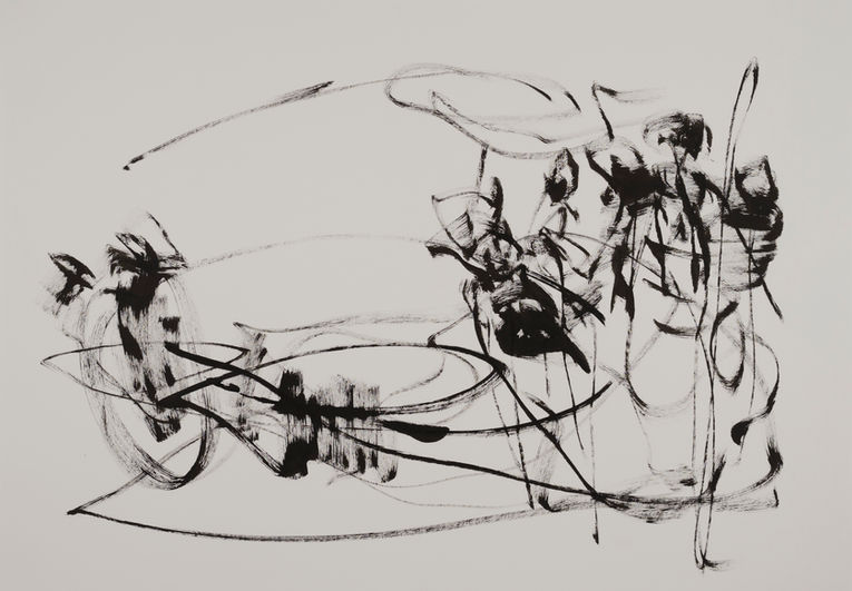 Arena IV - V; 70 X 100 cm   Selection of  19 paintings, ink on paper