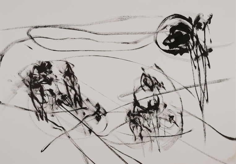 Arena IV - V; 70 X 100 cm   Selection of  19 paintings, ink on paper