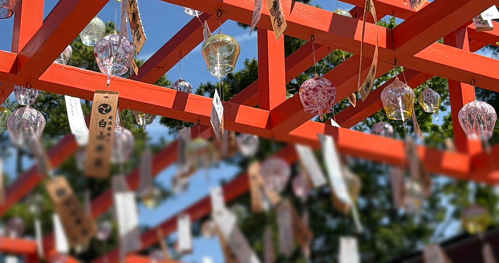 白山神社で行われていた七夕風鈴まつりの風鈴