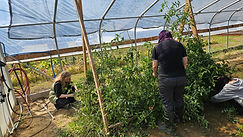 Agriculture Program