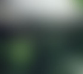 浣溪沙（雨夜惊梦）