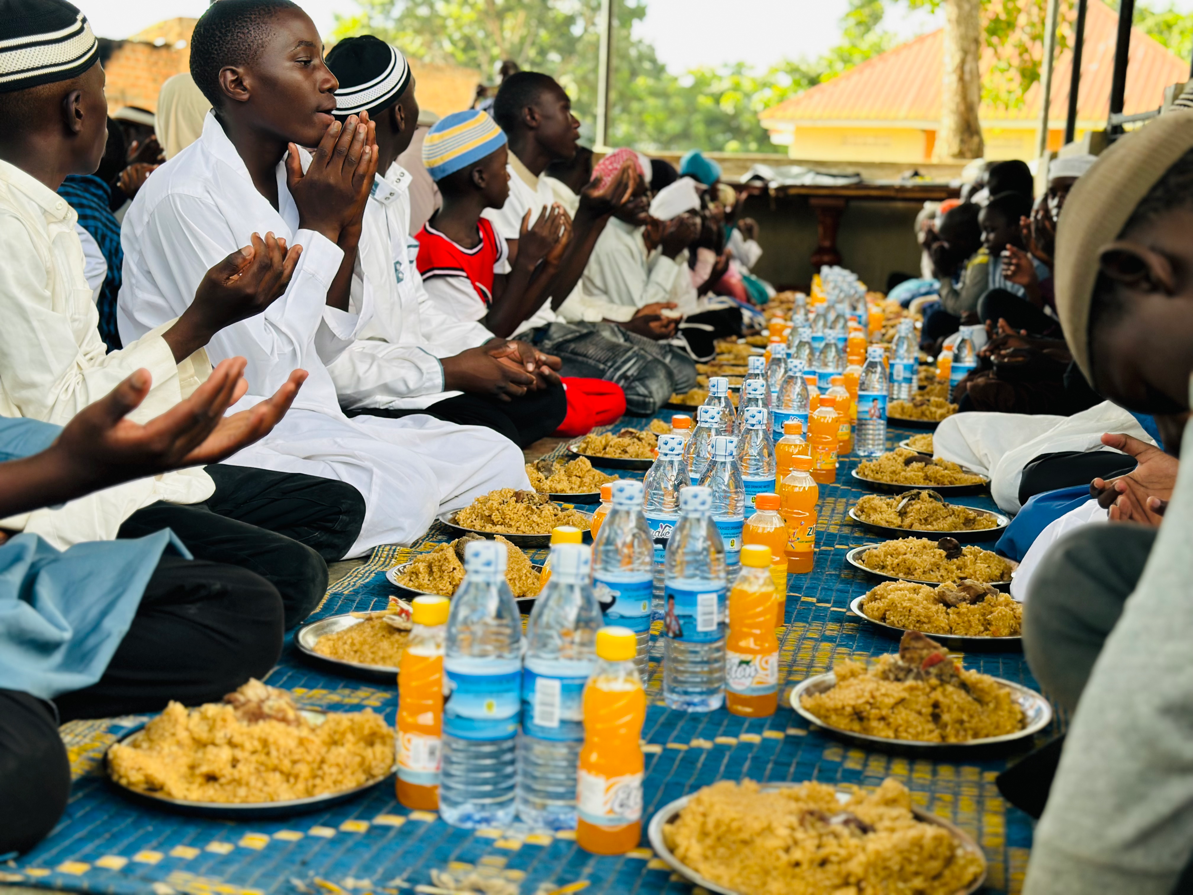 Aqiqah Schafe für Jungen