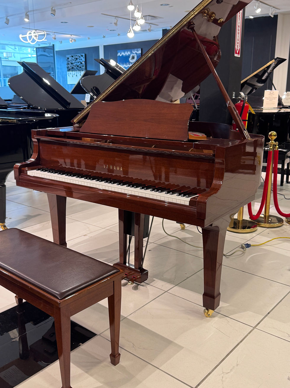 Thumbnail: YAMAHA C1 GRAND PIANO W/ QRS Wireless Player