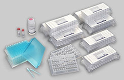 Automated nucleic acid extraction reagents