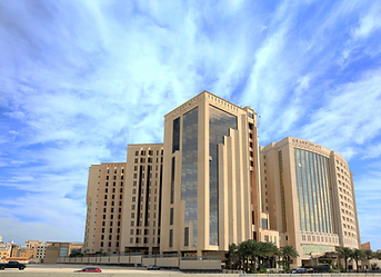 Danah Tower (2)_edited.png