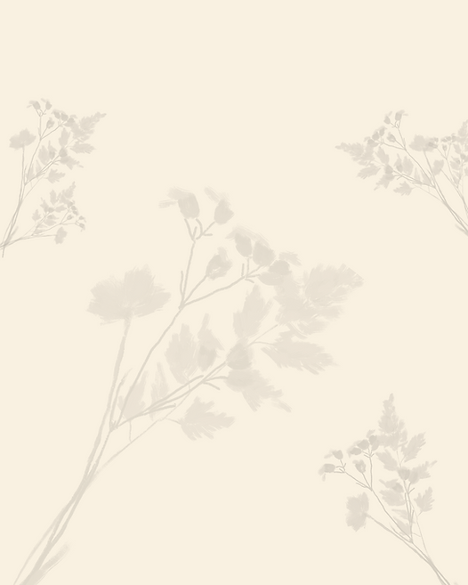 Wildflower Media Revised (Website) (3).png