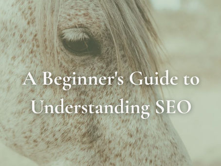 The background has a spotted white horse's face with a text overlay saying "A beginner's guide to understanding SEO"