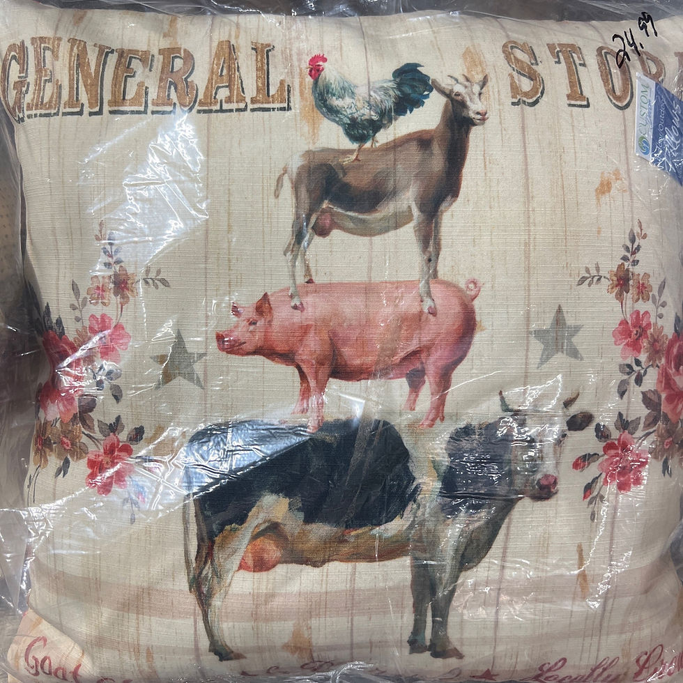 Thumbnail: General Store Indoor/Outdoor Pillow