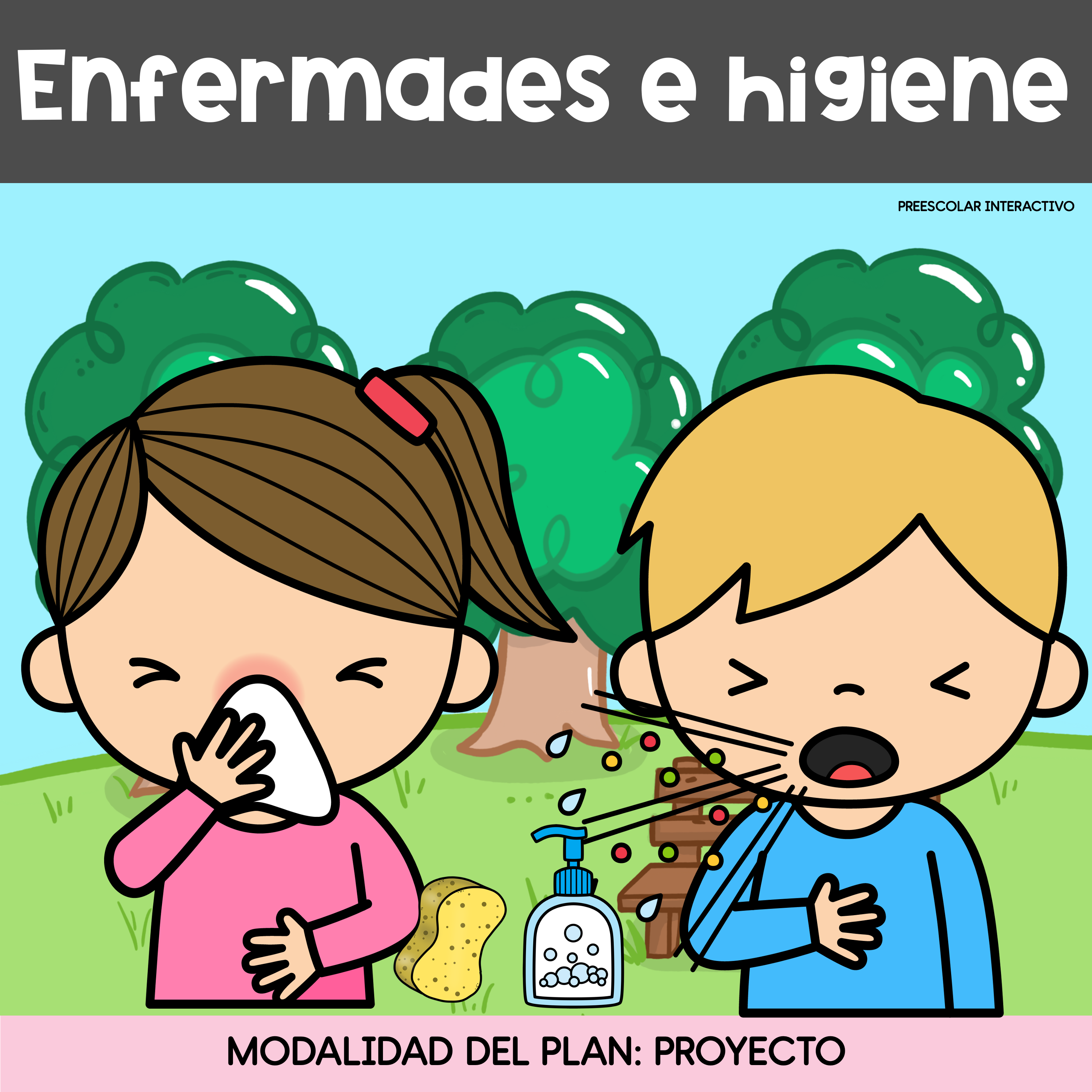 Proyecto "Enfermedades e higiene"