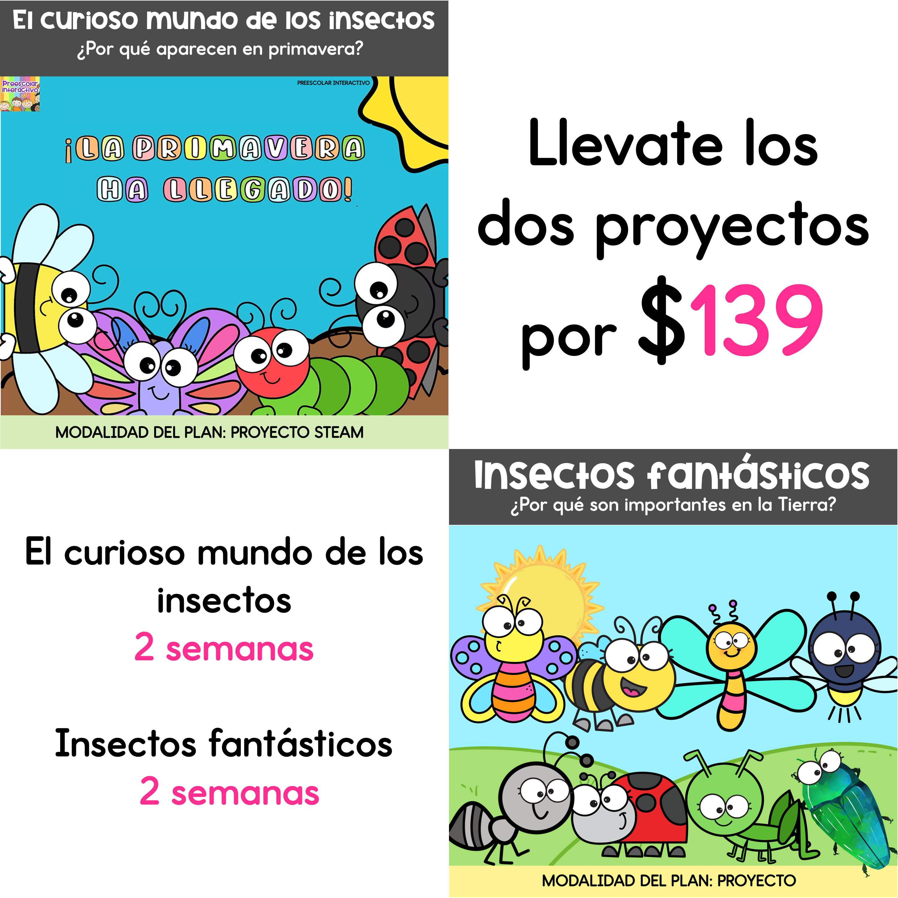 PAQUETE DE PROYECTOS: INSECTOS FÁNTASTICOS Y CURIOSO MUNDO DE LOS INSECTOS