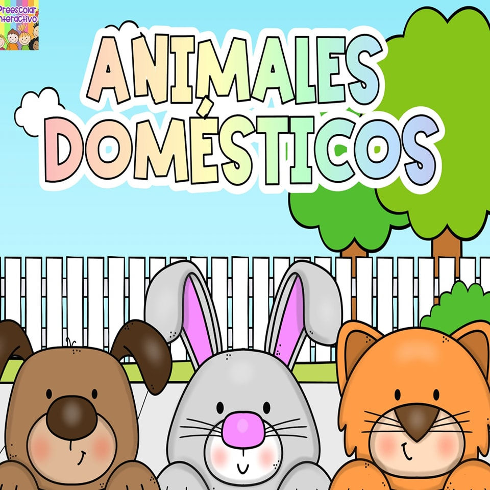 Proyecto. Animales domésticos