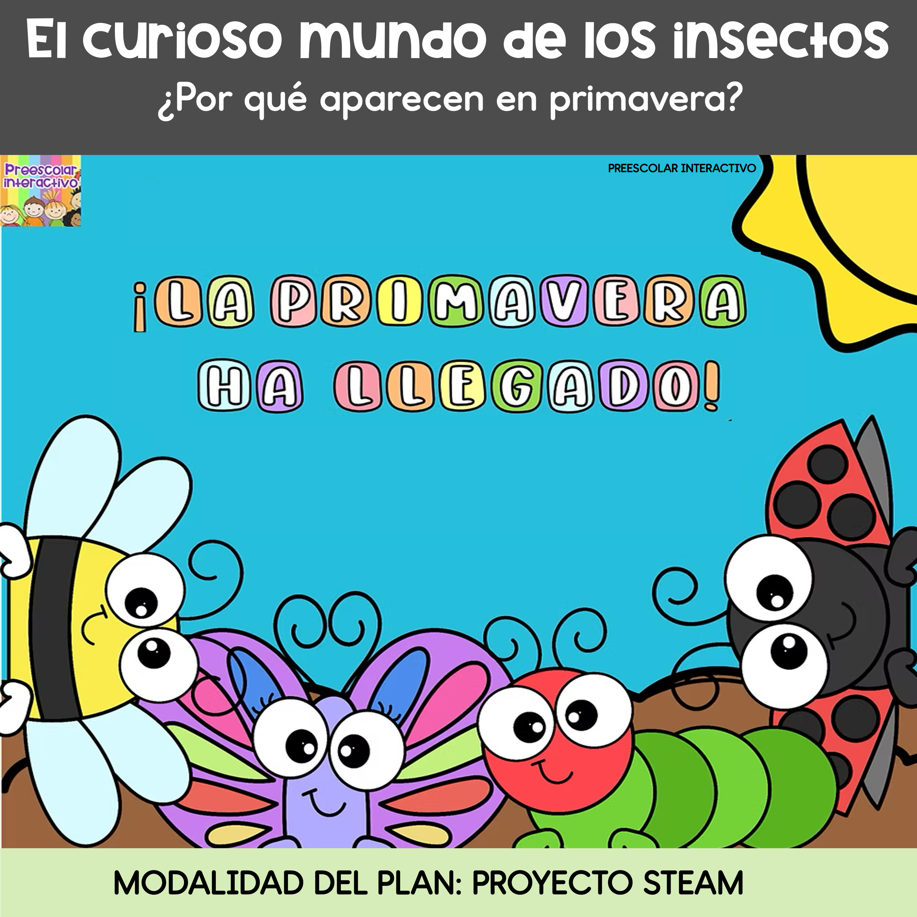 Proyecto. El curioso mundo de los insectos